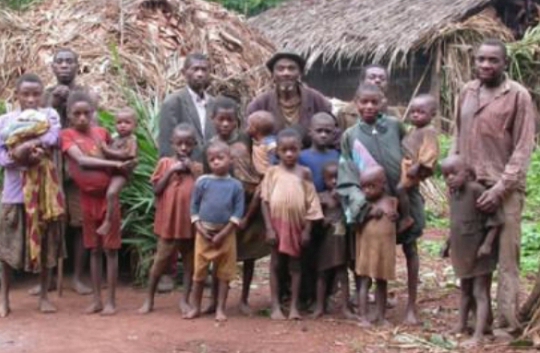 RDC : les pygmées alertent sur leurs conditions de vie sans l'aide humanitaire au Sud-Kivu