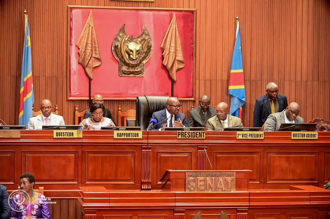 RDC : le Sénat examine une proposition de loi sur la lutte contre la drépanocytose