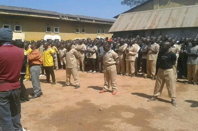 RDC: 127 kulunas transférés à Likasi avant leur acheminement vers Kaniama Kasese