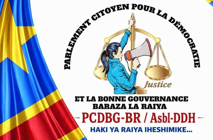RDC : le Parlement citoyen appelle à lutter contre les armes illicites