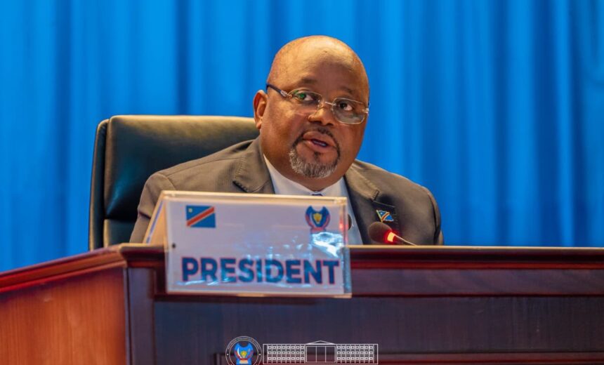 RDC : six accords stratégiques adoptés à l'unanimité à l'Assemblée nationale